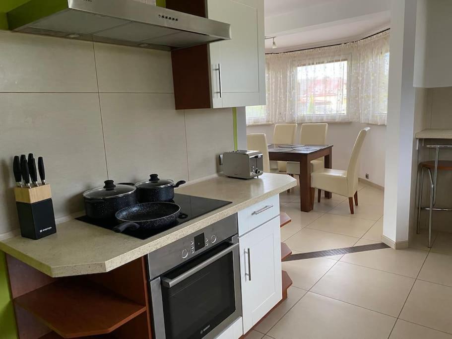 4 Bedroom Family House With Access To A Hot Tub Goczałkowice-Zdrój Kültér fotó
